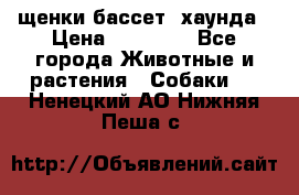 щенки бассет- хаунда › Цена ­ 20 000 - Все города Животные и растения » Собаки   . Ненецкий АО,Нижняя Пеша с.